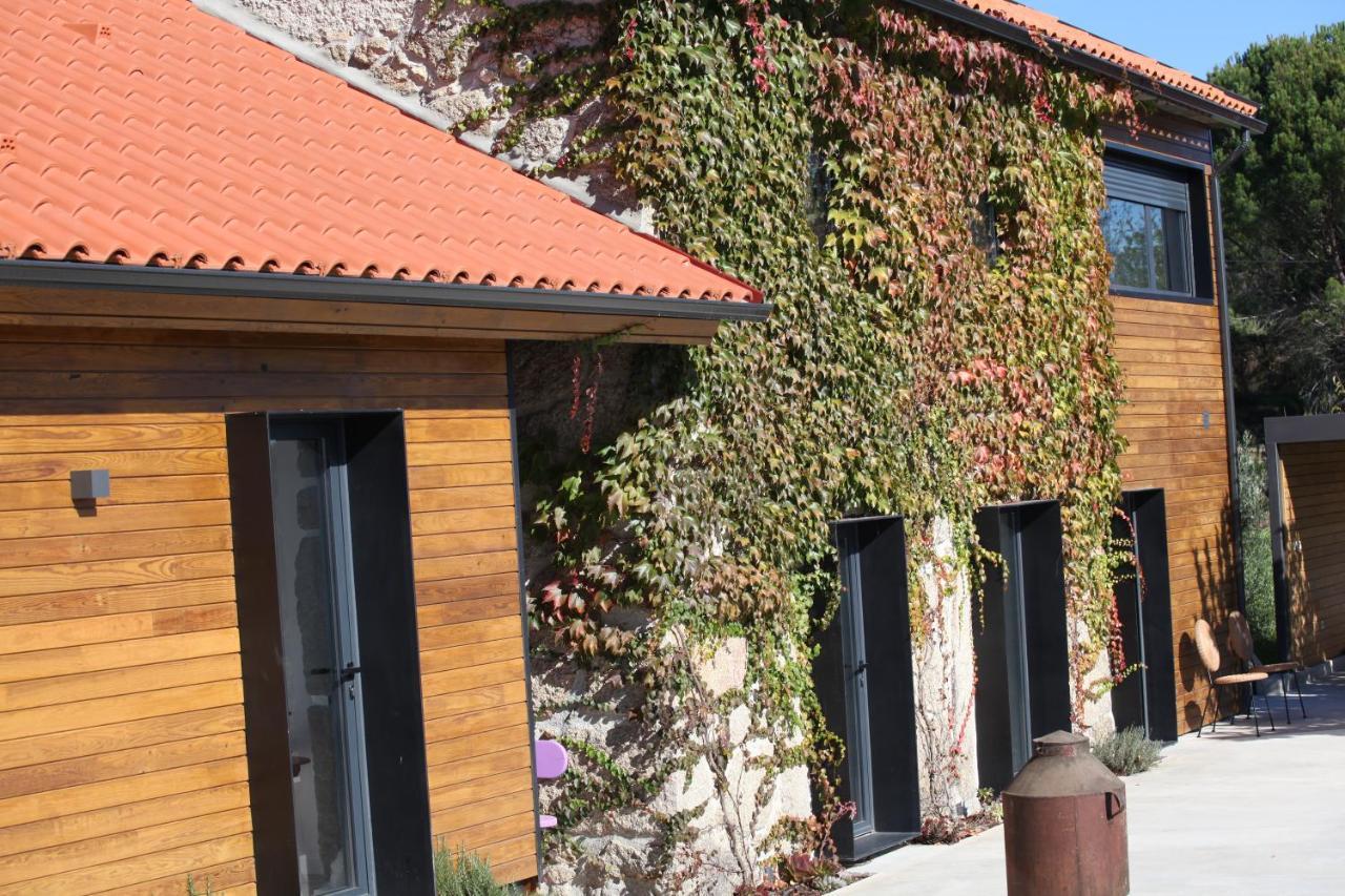 Casas Do Pinheiro Grande Villa Fornos de Algodres Eksteriør billede